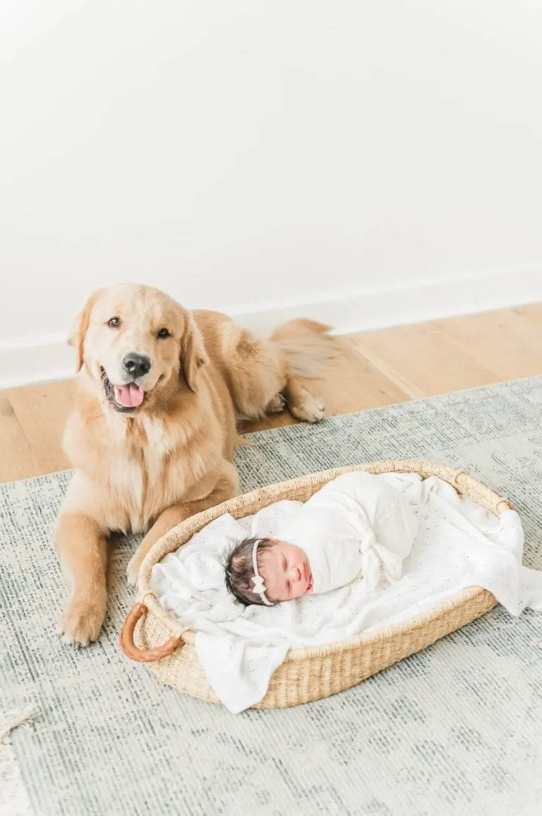 Chicago Family Newborn Photographer - Alyssa Boyd_J_08092023_6170.jpg
