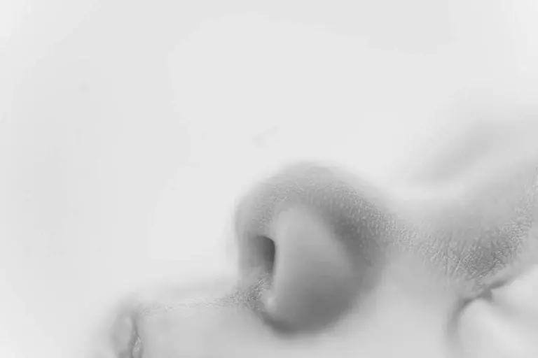 Chicago Family Newborn Photographer - BW Alyssa Cosich_A_11022023_0033 copy.jpg