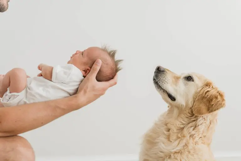 Chicago Family Newborn Photographer - Kassie Warmuth_A_07082023_5435.jpg