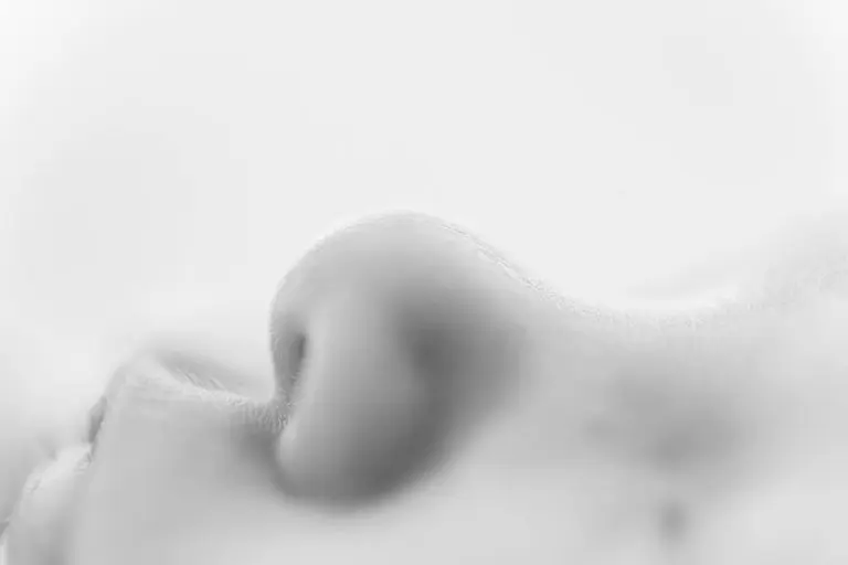 Chicago Family Newborn Photographer - Kelsey Balcer_A_06222023_3744-Edit-2.jpg