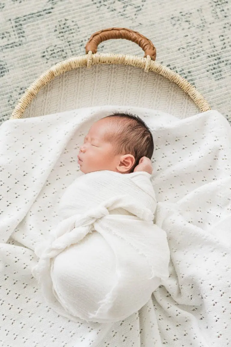 Chicago Family Newborn Photographer - Lisa Chow_A_06092022_4919-Edit.jpg
