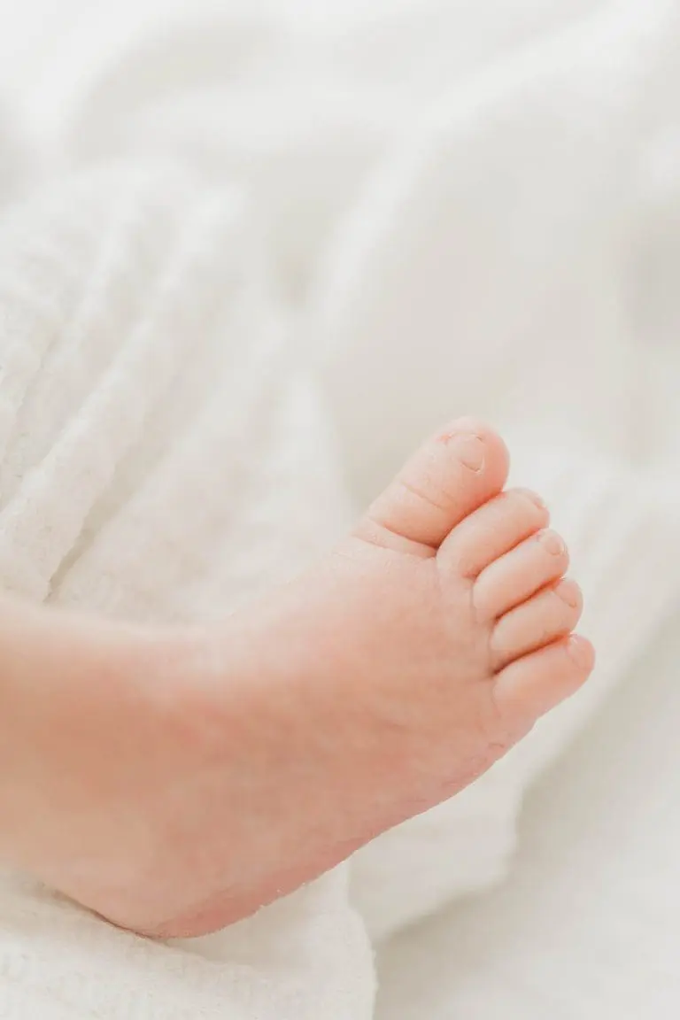 Chicago Family Newborn Photographer - Marisa Alcaro Seal_AL_06052022_1818-Edit.jpg