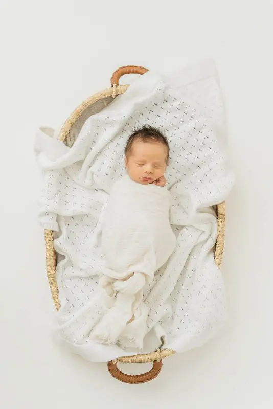 OAK PARK STUDIO - Chicago Family Newborn Photographer - 20240116 - 010.jpg