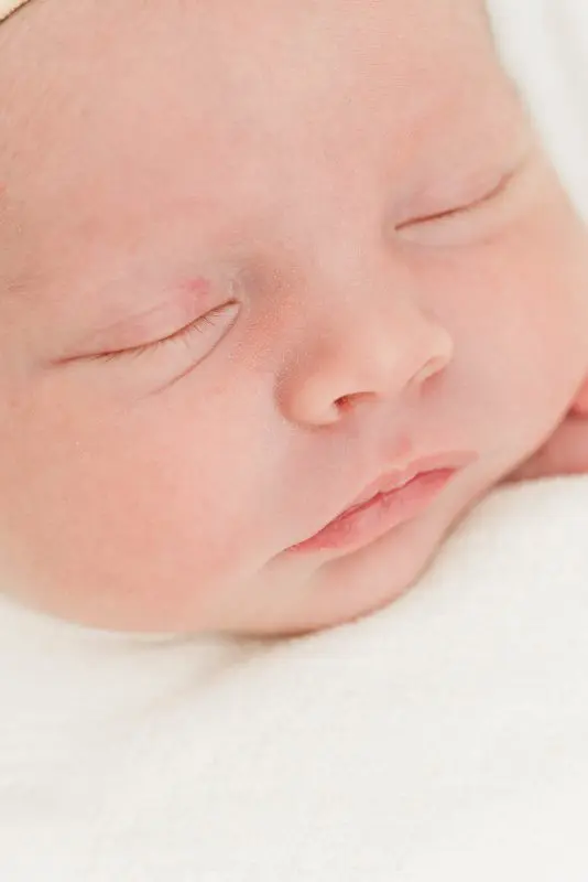 2024 Portfolio - Chicago Family Newborn Photographer - 20241001 - 026.jpg