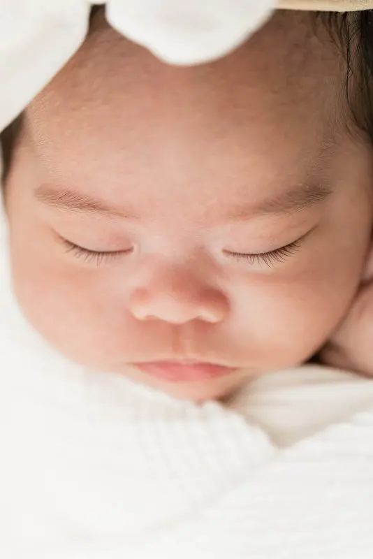 2024 Portfolio - Chicago Family Newborn Photographer - 20241104 - 003.jpg