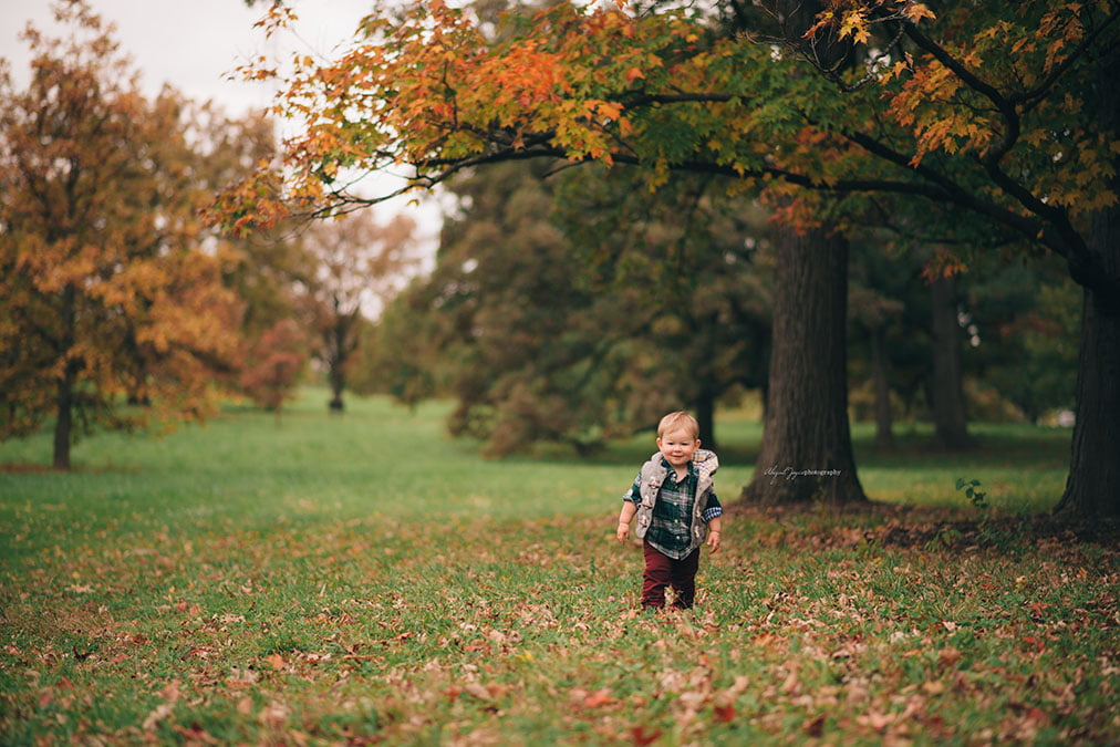 chicago-family-photographer-dsc_0192-abigail-joyce-photography