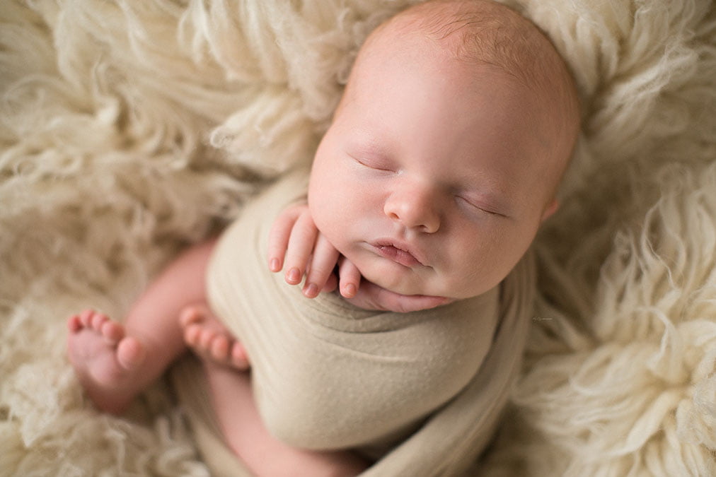 western springs newborn photographer 4