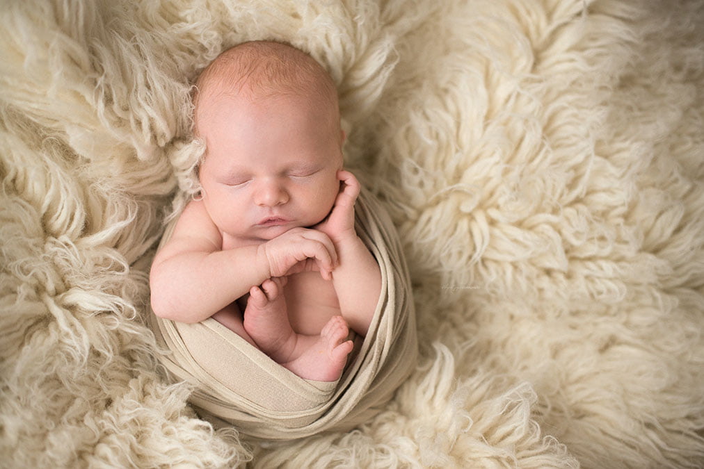 western springs newborn photographer 6