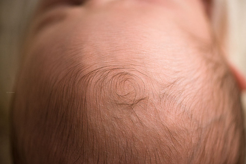 an extremely close shot of the delicate strands of hair on the top of a newborn's head