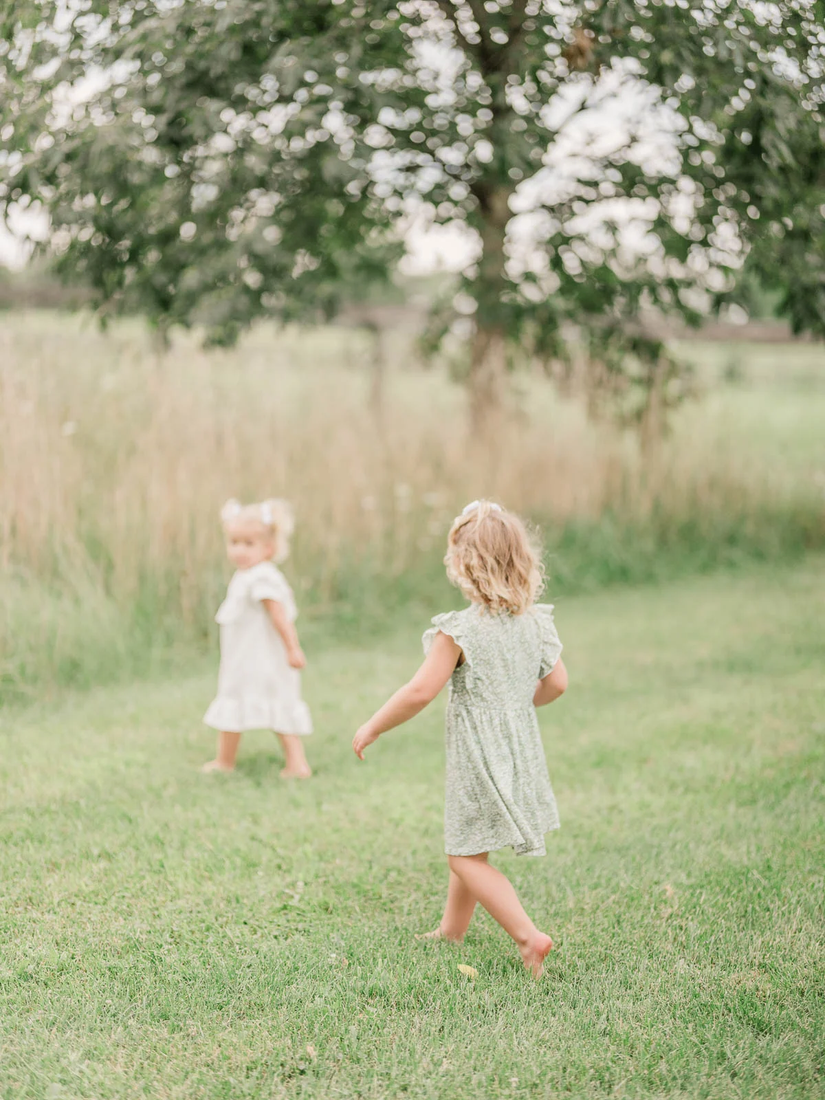 Chicago Family Newborn Photographer - Stephanie Gryzik_A_08262023_1714.jpg