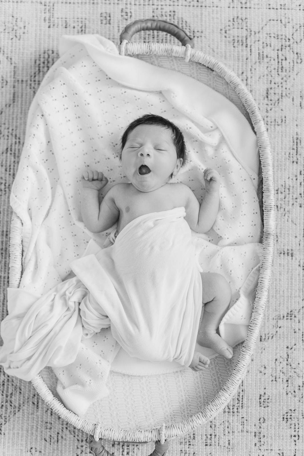 Chicago Family Newborn Photographer - Cinthia Correa_A_07072023_5266-Edit-2.jpg