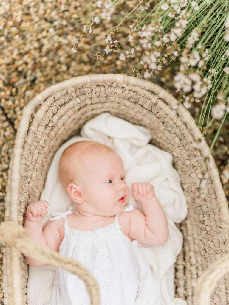 Chicago Family Newborn Photographer - 07262023 Lavender Field_A_07272023_8140.jpg