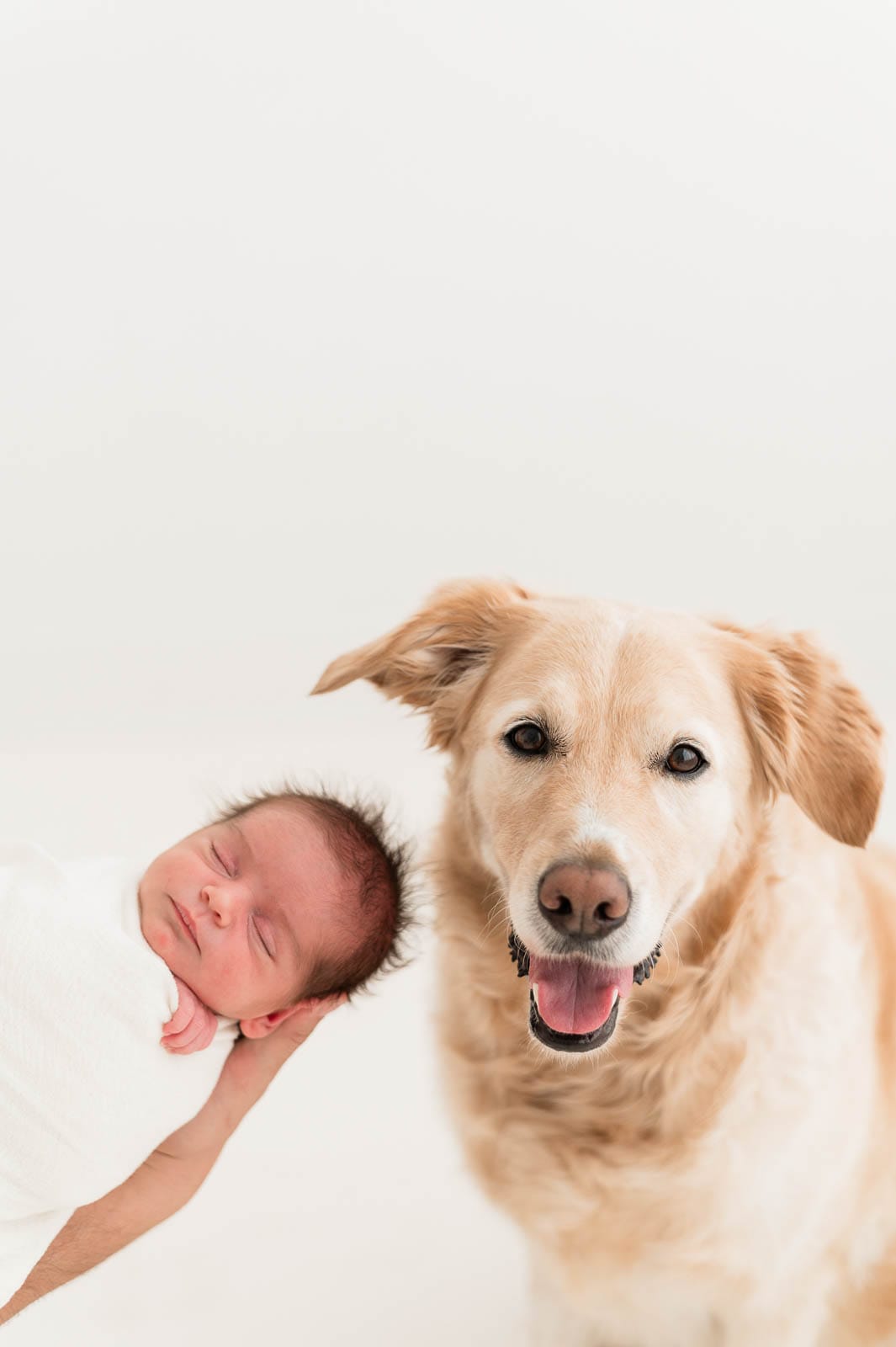 2024 Portfolio - Chicago Family Newborn Photographer - 20240831 - 031.jpg